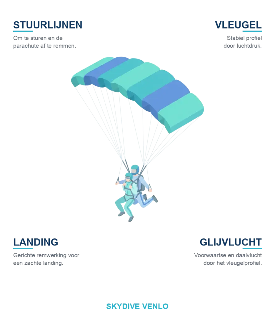Parachute-opbouw: stuurlijnen, vleugel, glijvlucht en landing bij Skydive Venlo